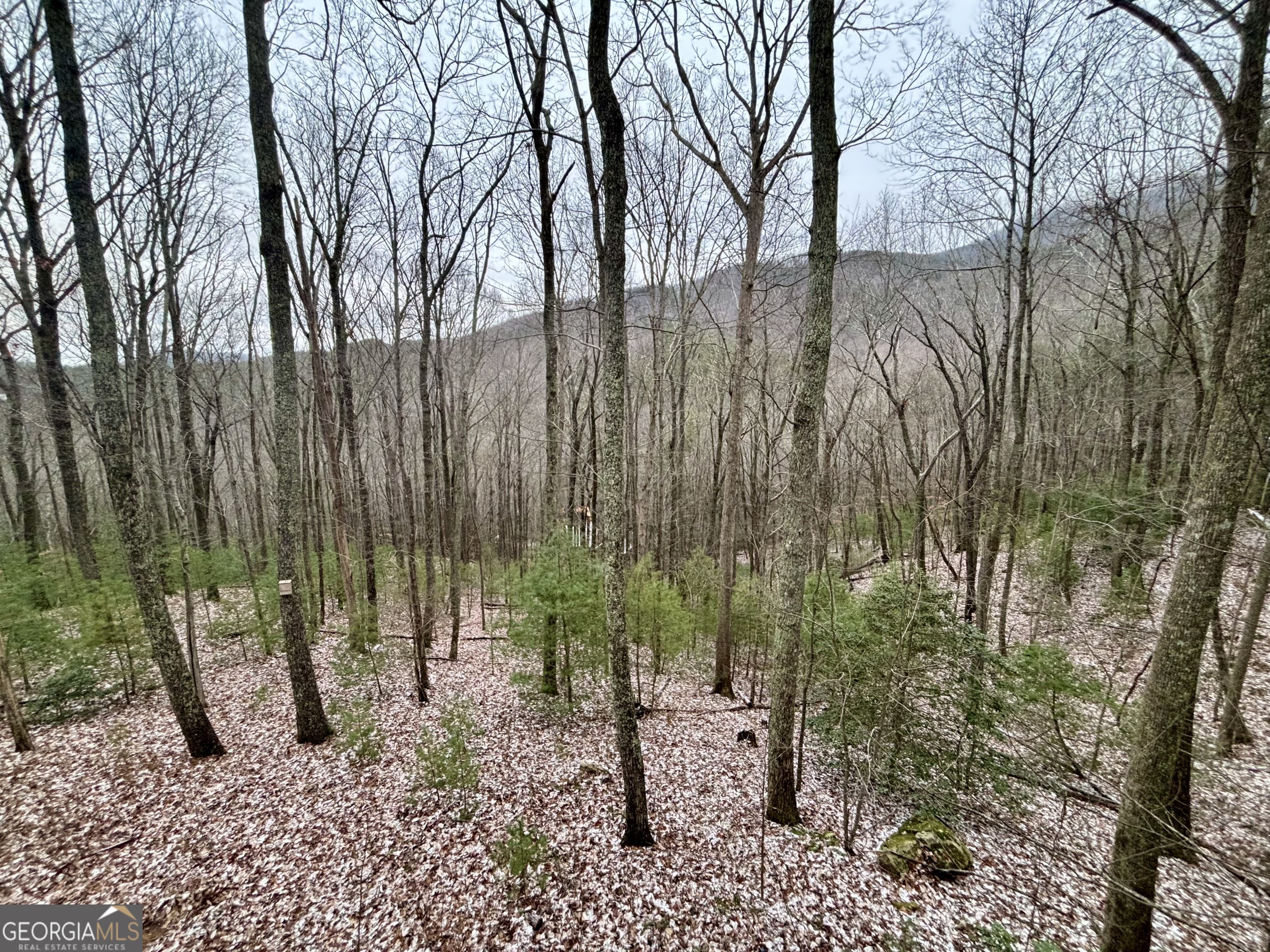 163 Little Rock Creek Trail # 9 Property Photo 5