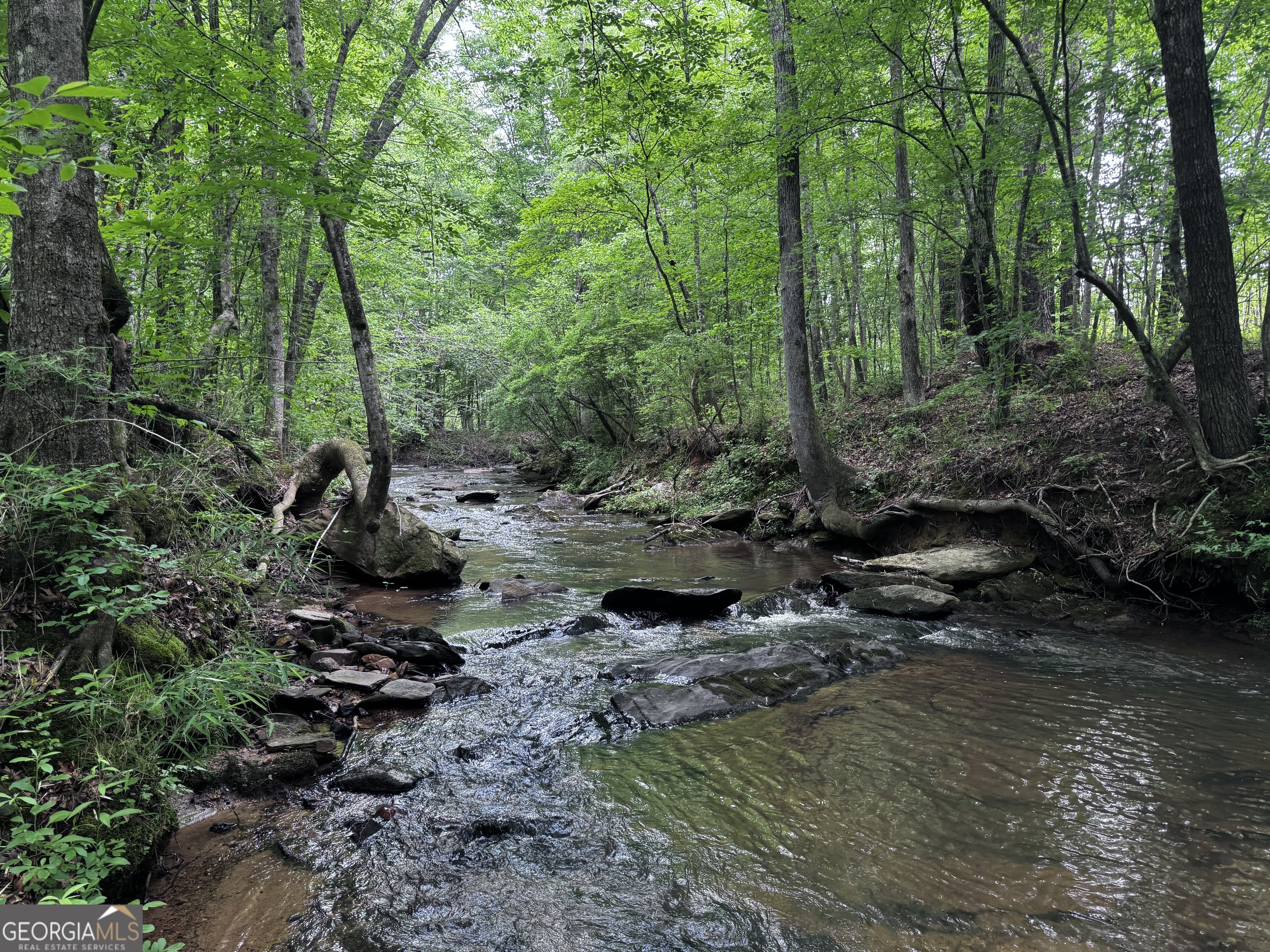 715+/- Ac Ridgeway Road Property Photo 1