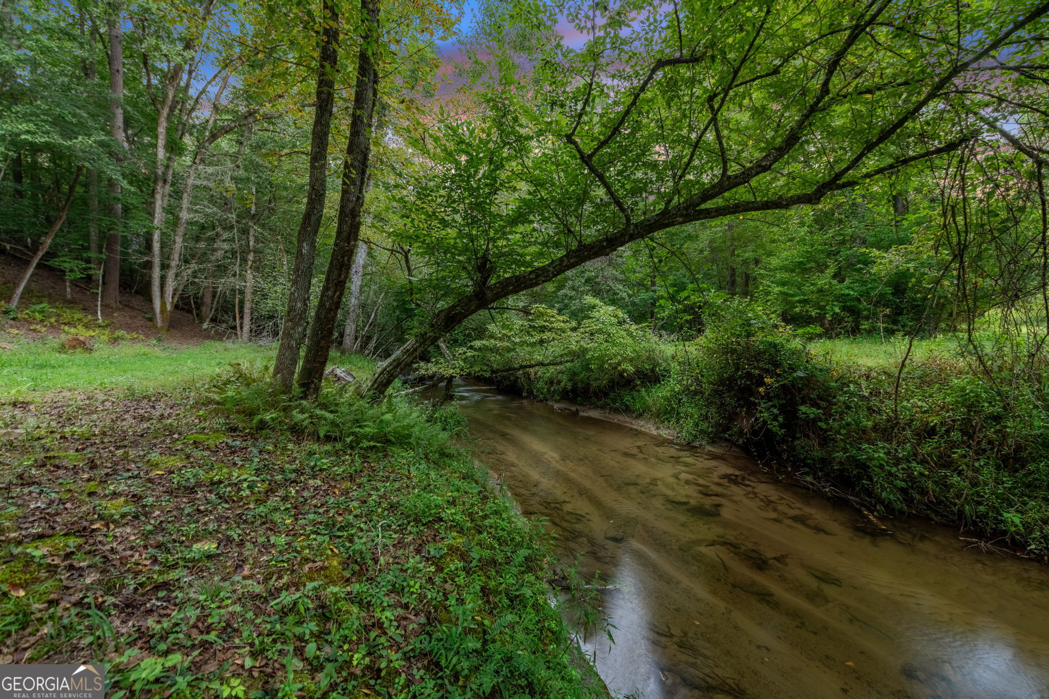 215 Twin Creeks Property Photo 28