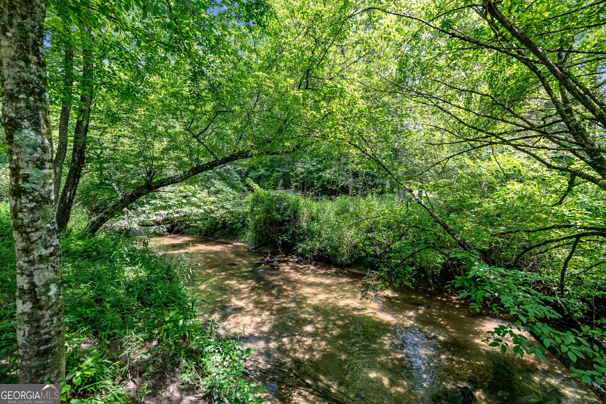215 Twin Creeks Property Photo 34