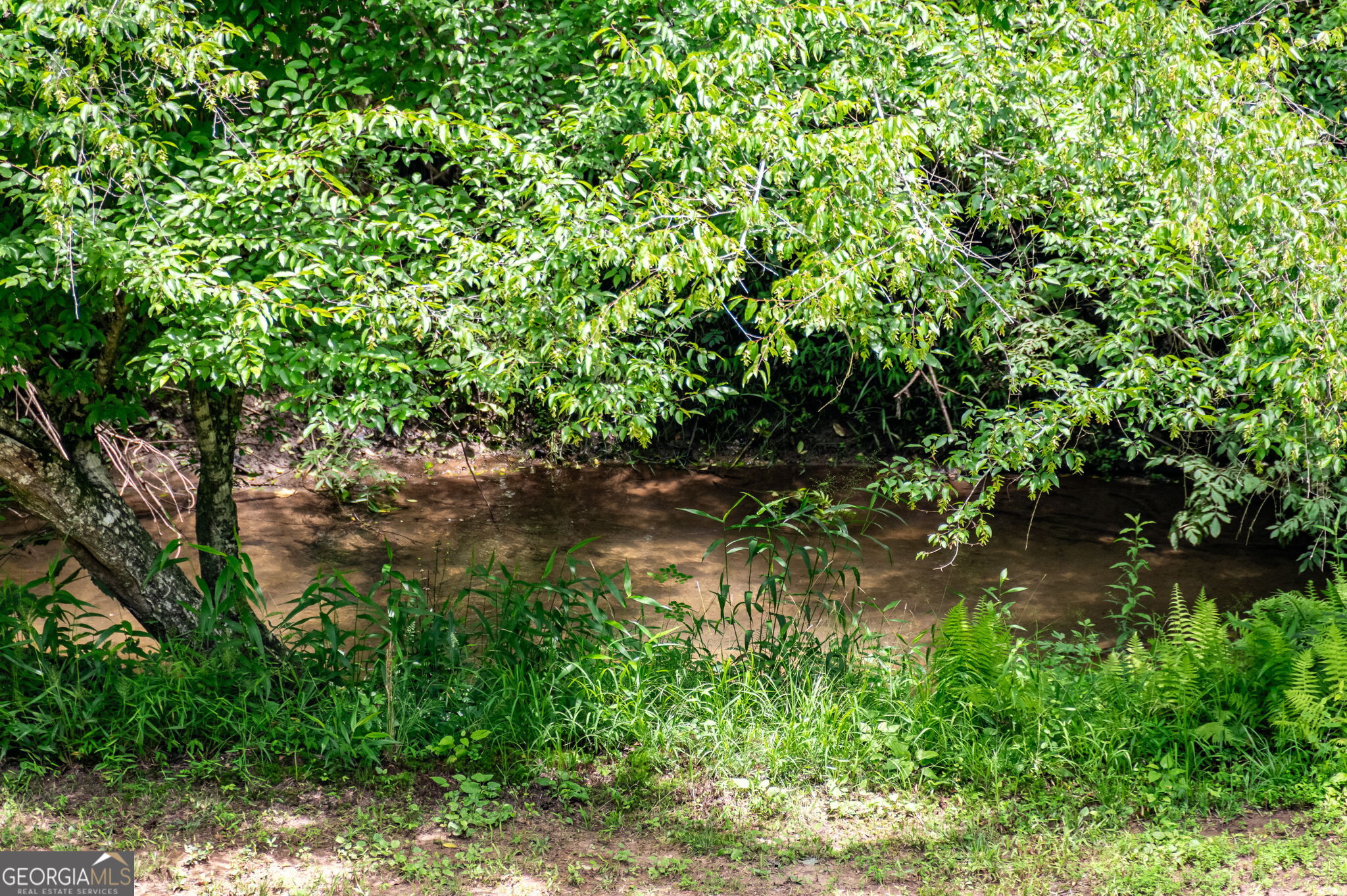 215 Twin Creeks Property Photo 44