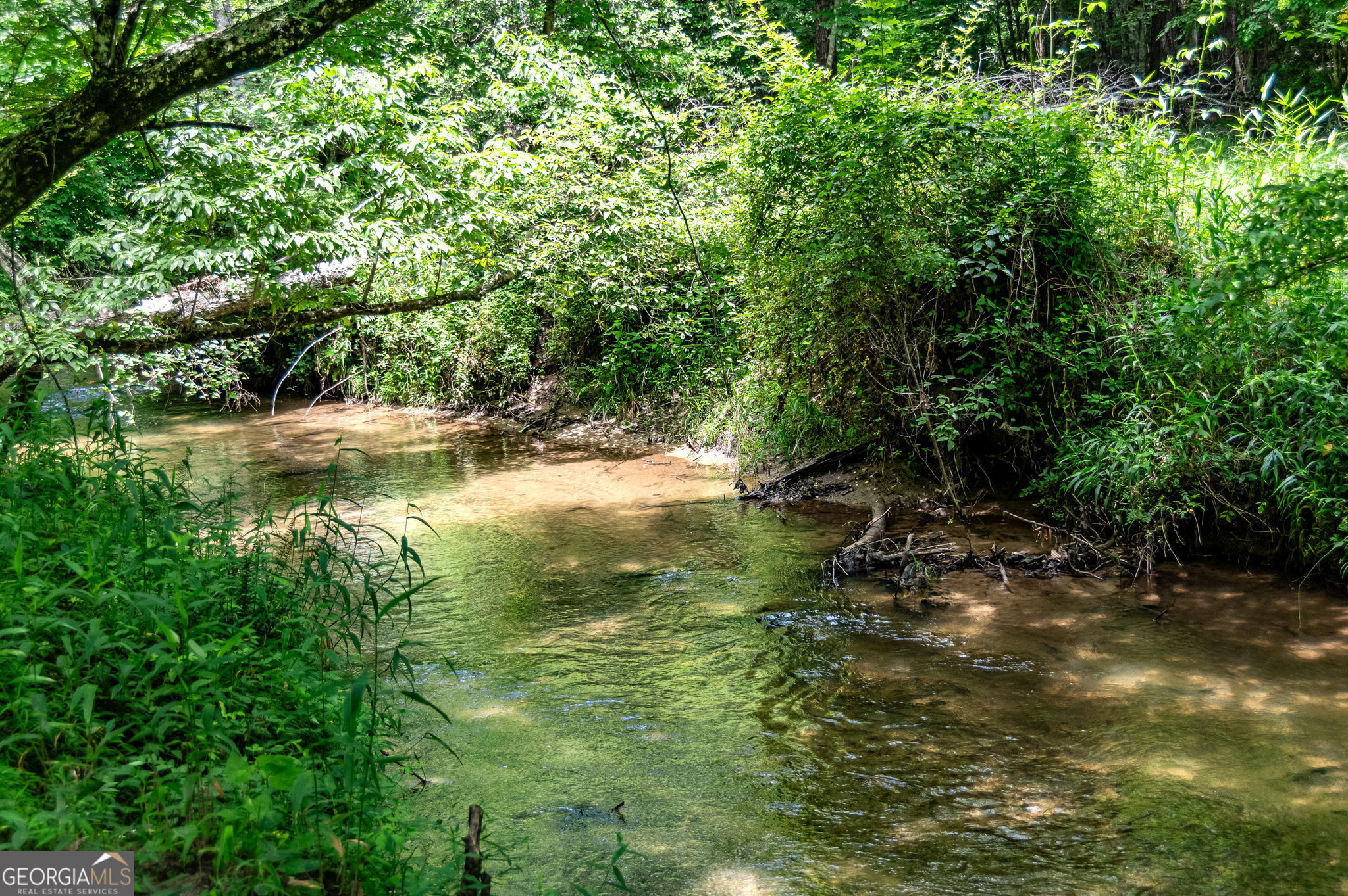 215 Twin Creeks Property Photo 46