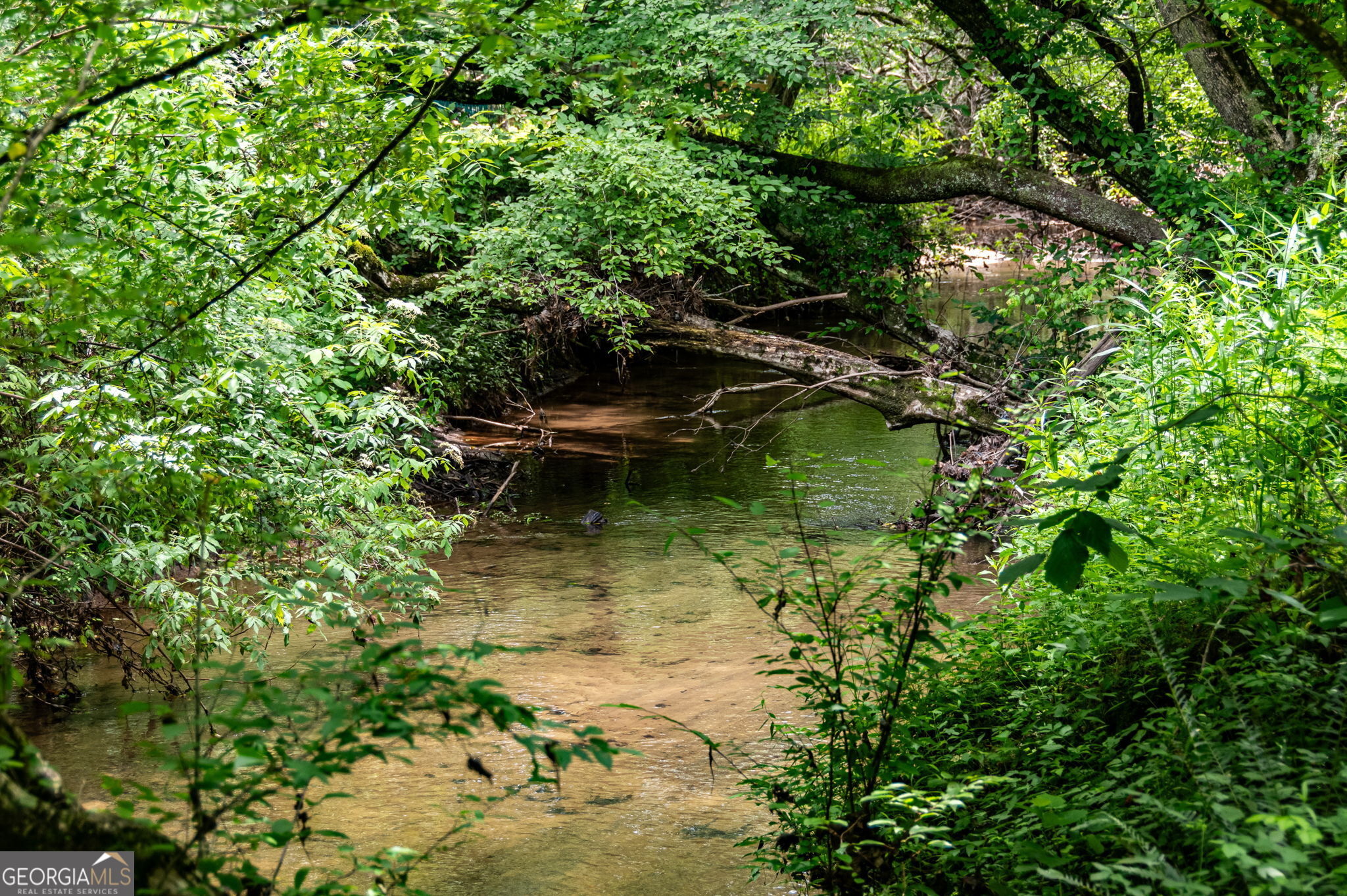 215 Twin Creeks Property Photo 47