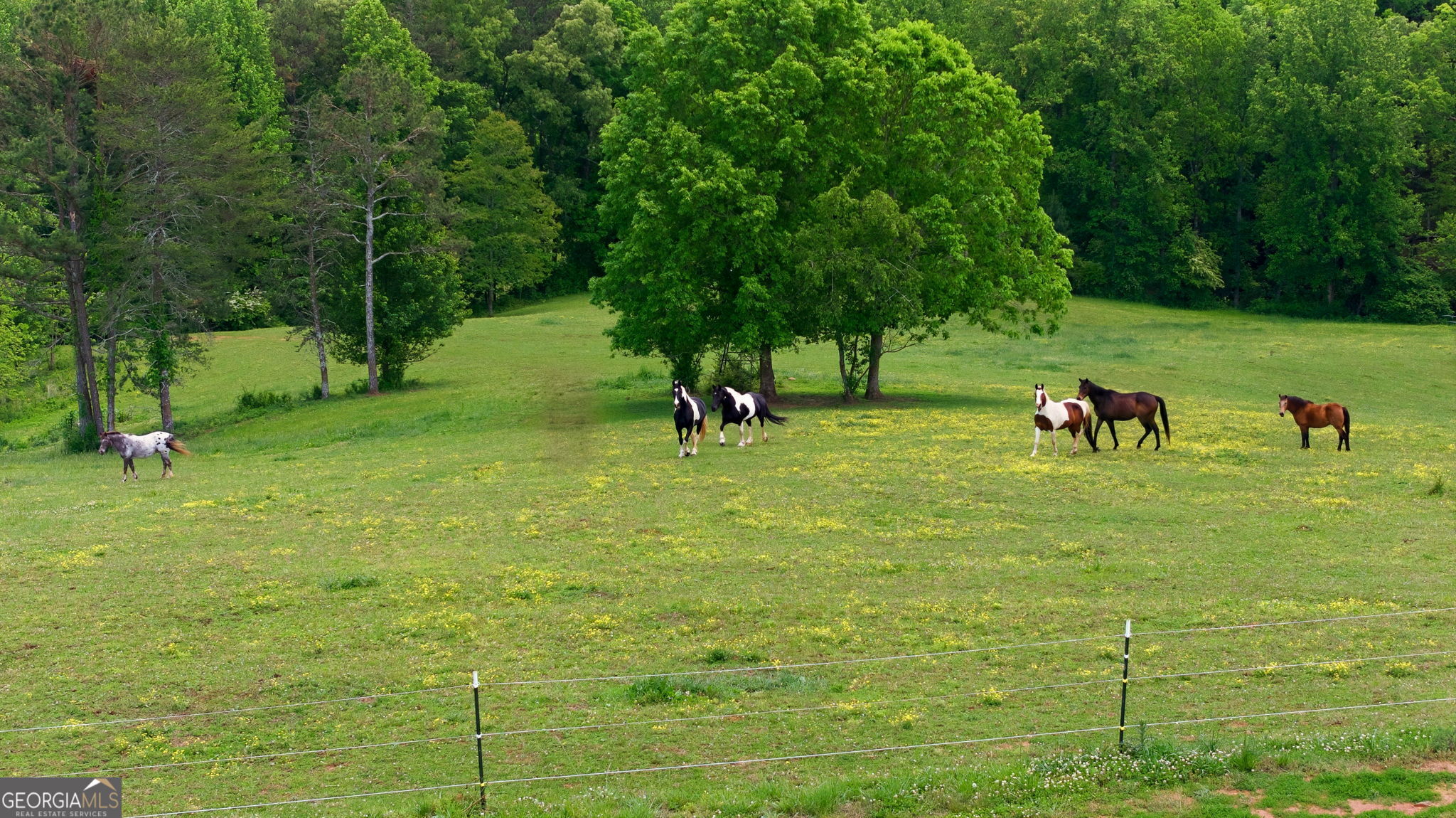 850 Preacher Campbell Road Property Photo 69