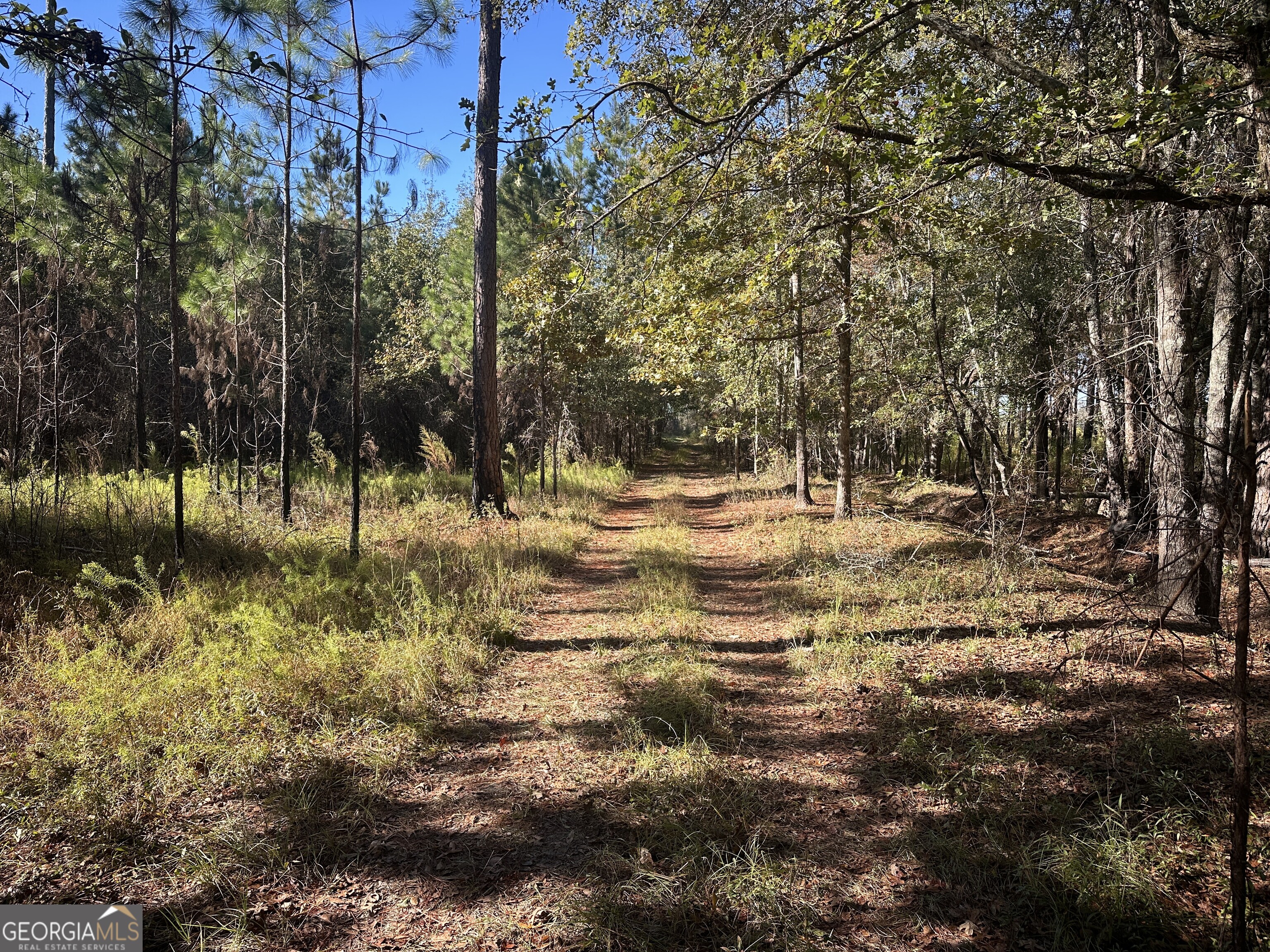 0 Buck Creek Road Property Photo 1