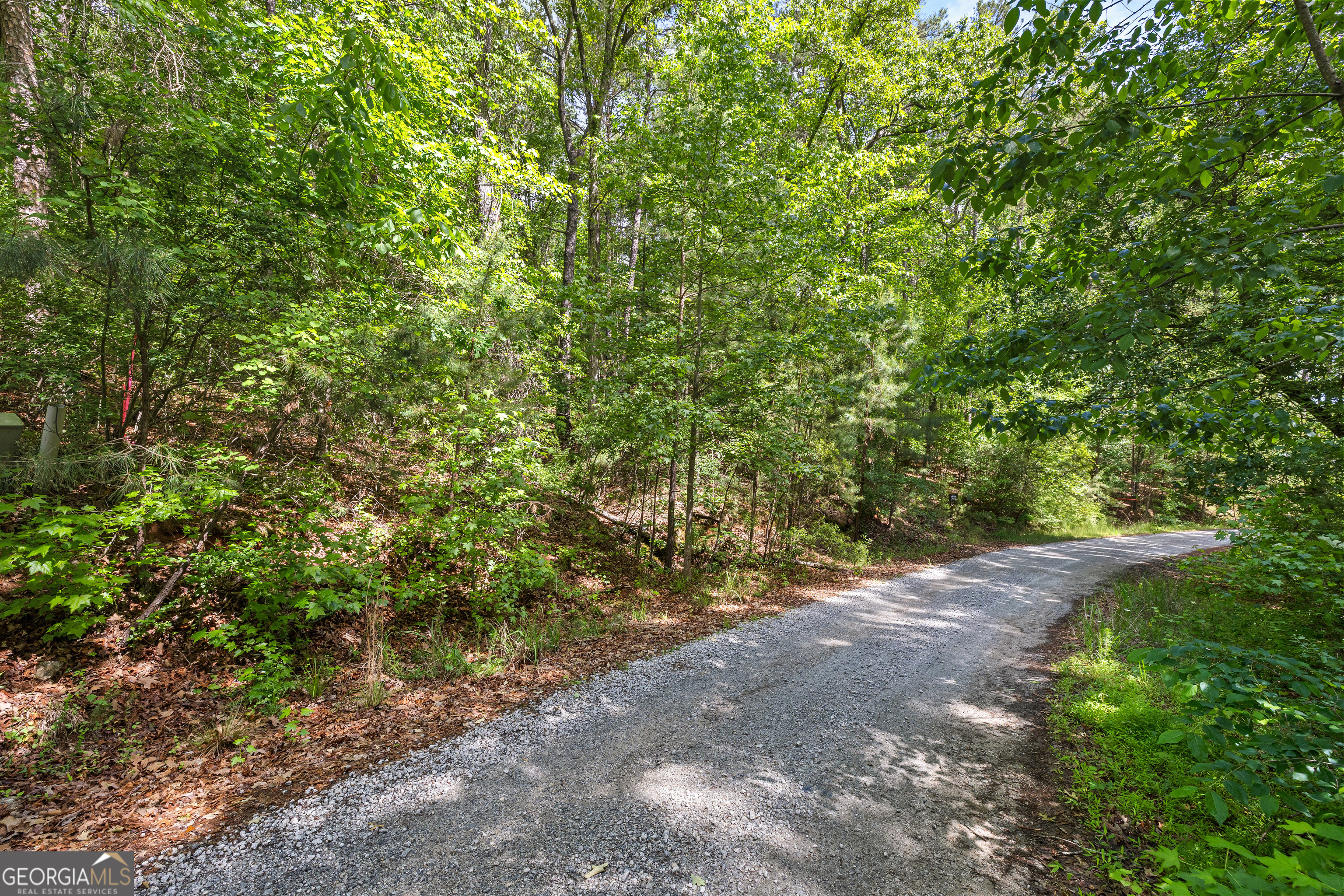 721 Rausch Ridge Property Photo 4