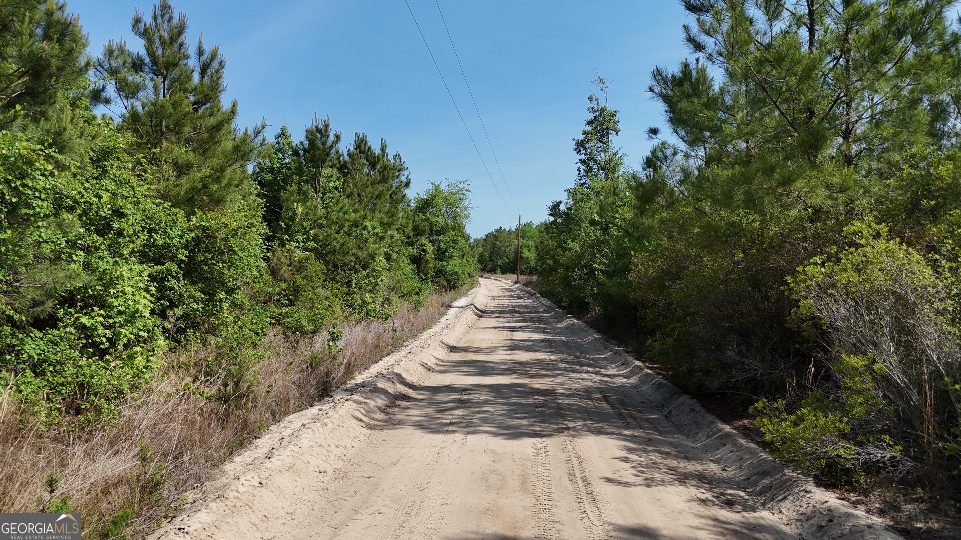 0 Tillman Cemetery Road Property Photo 10