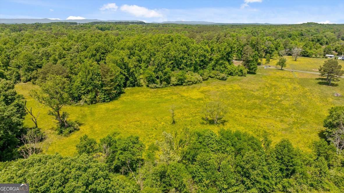 446 Brown Bridge Road Property Photo 10