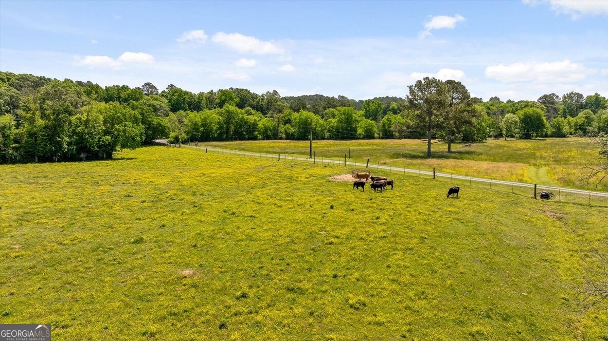 446 Brown Bridge Road Property Photo 10