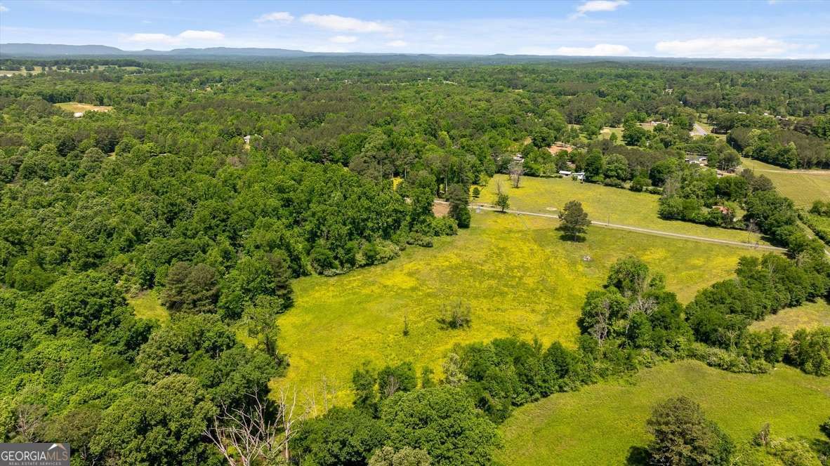446 Brown Bridge Road Property Photo 11