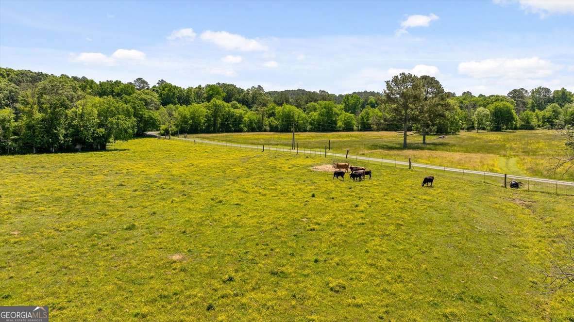 446 Brown Bridge Road Property Photo 13