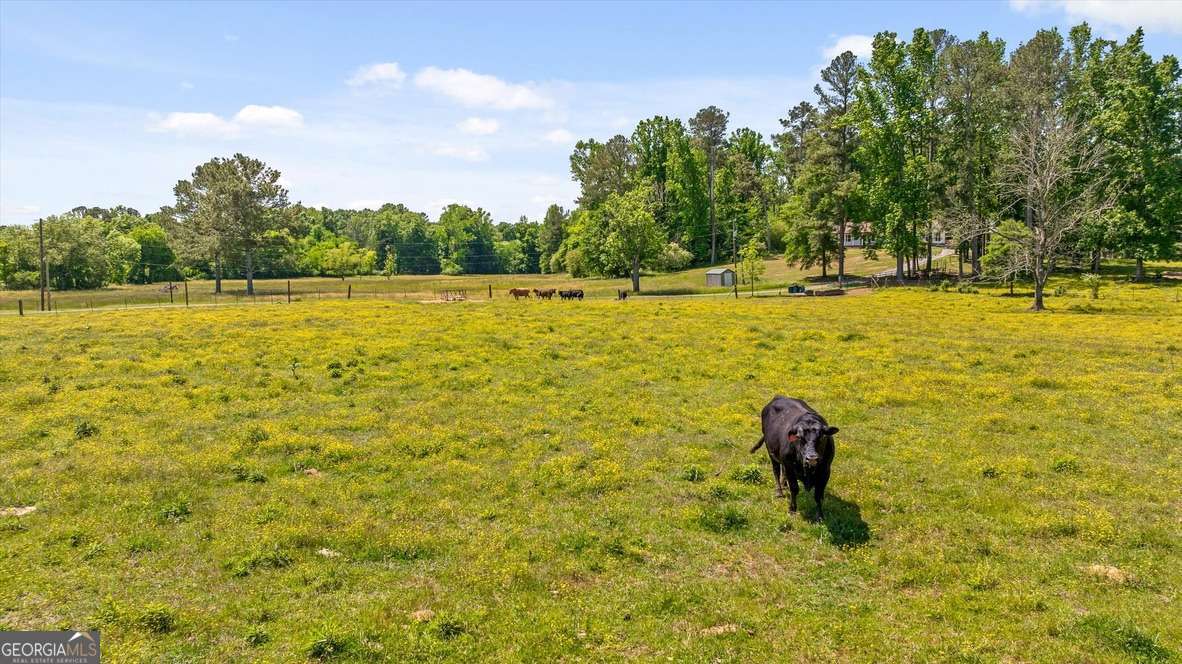 446 Brown Bridge Road Property Photo 14