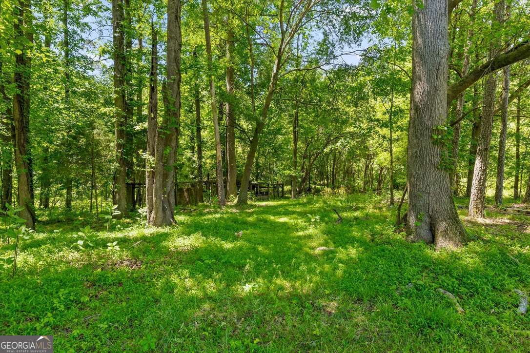 446 Brown Bridge Road Property Photo 19