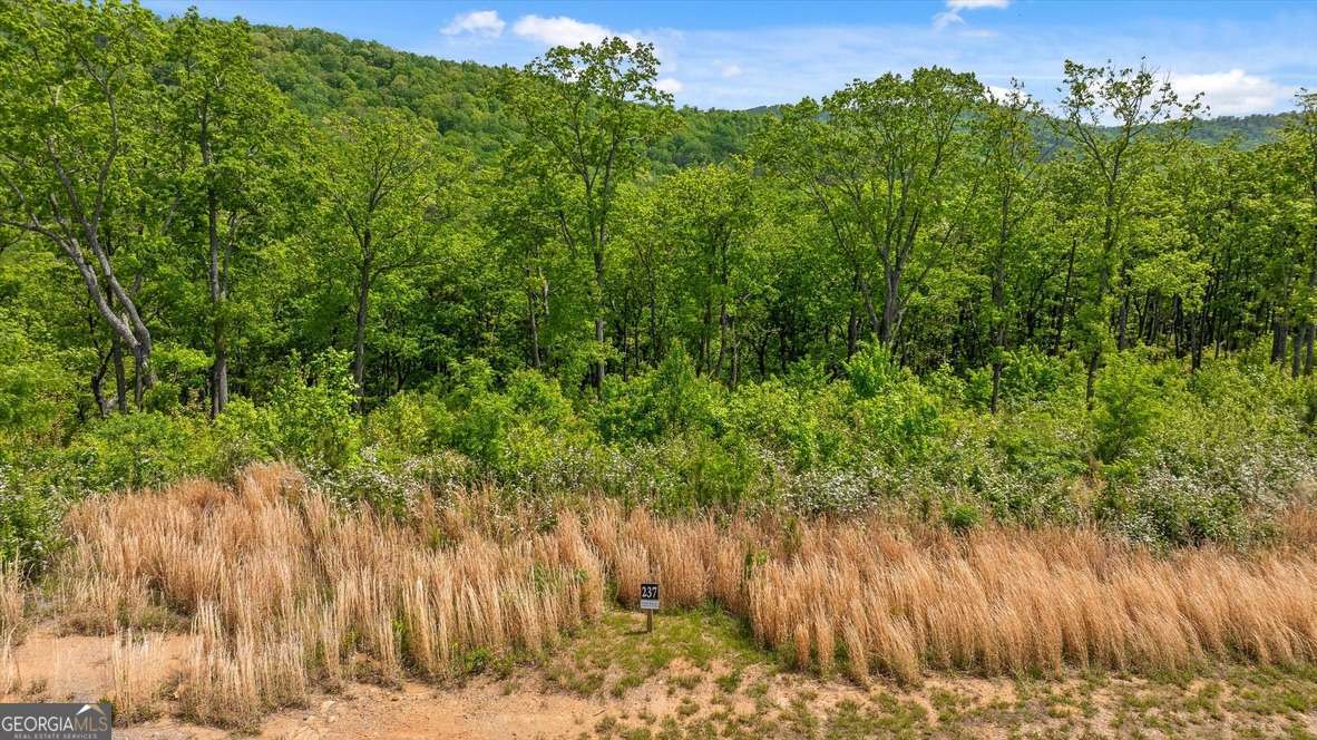 Lot 237 Highgrove Drive Property Photo 6