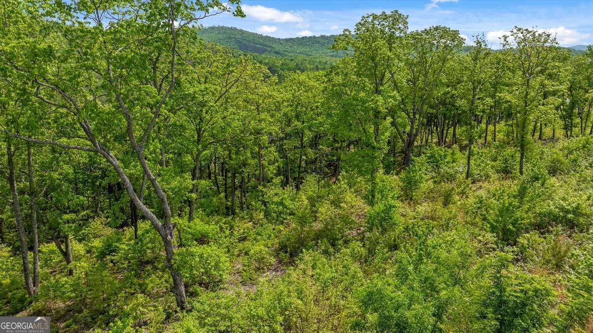 Lot 237 Highgrove Drive Property Photo 7