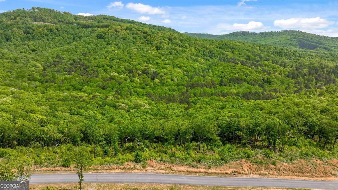 Lot 237 Highgrove Drive Property Photo 11