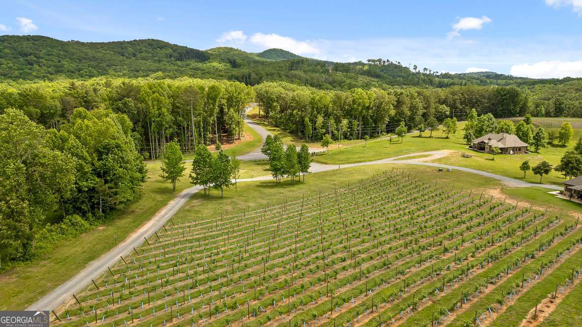 Lot 237 Highgrove Drive Property Photo 32