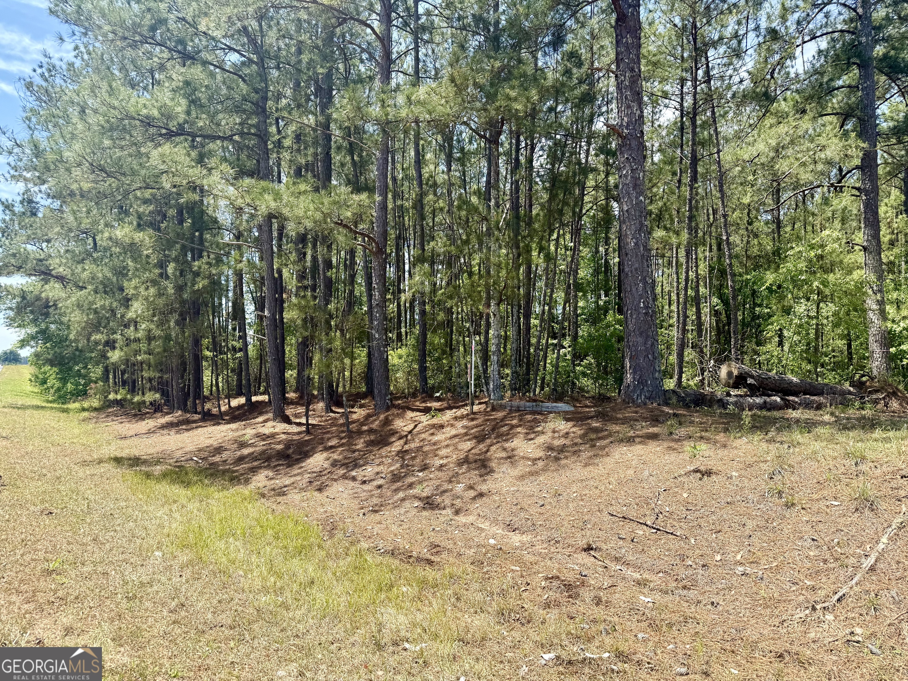 1983 Minton Chapel Road Property Photo 20
