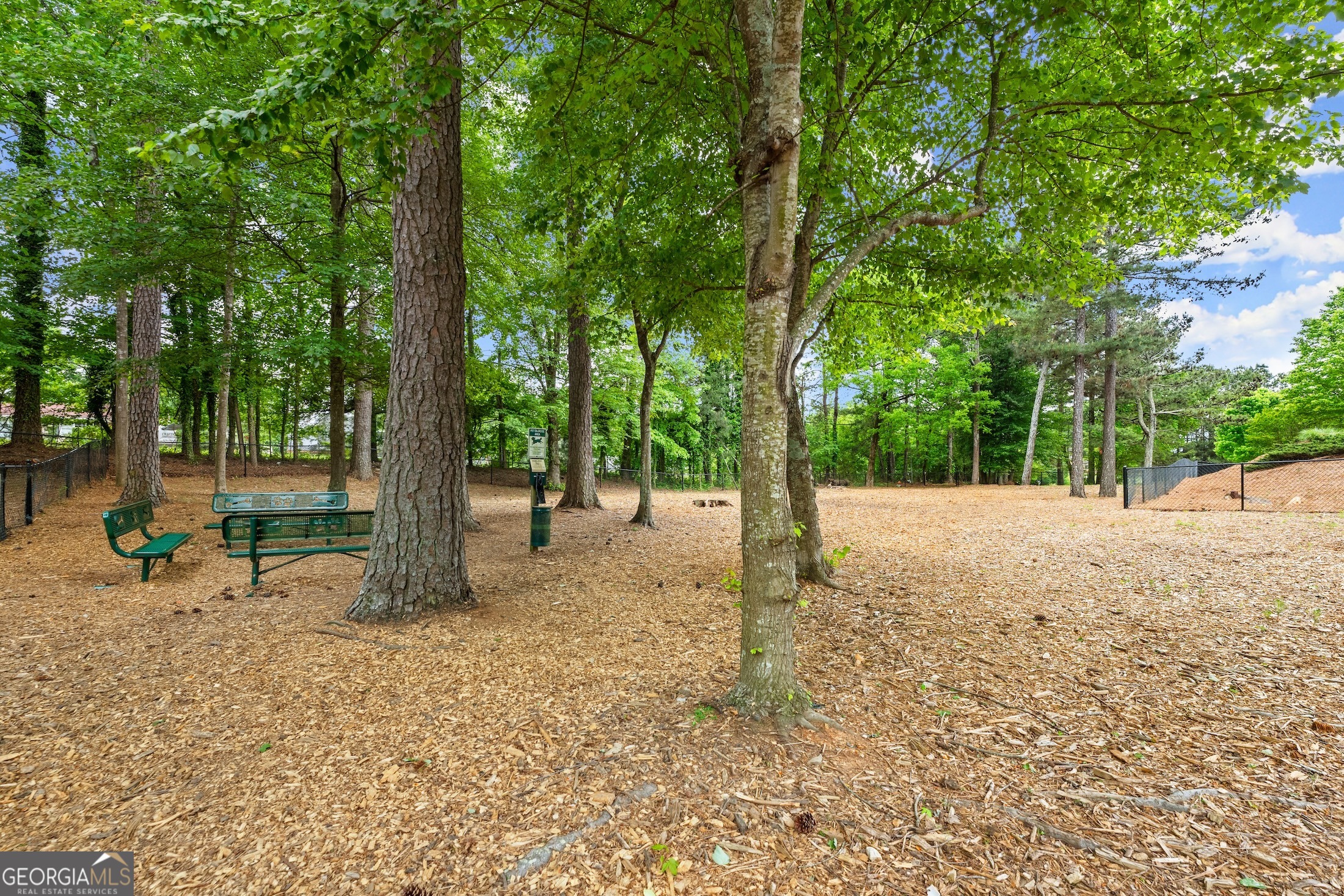 3913 Great Pine Drive Property Photo 72
