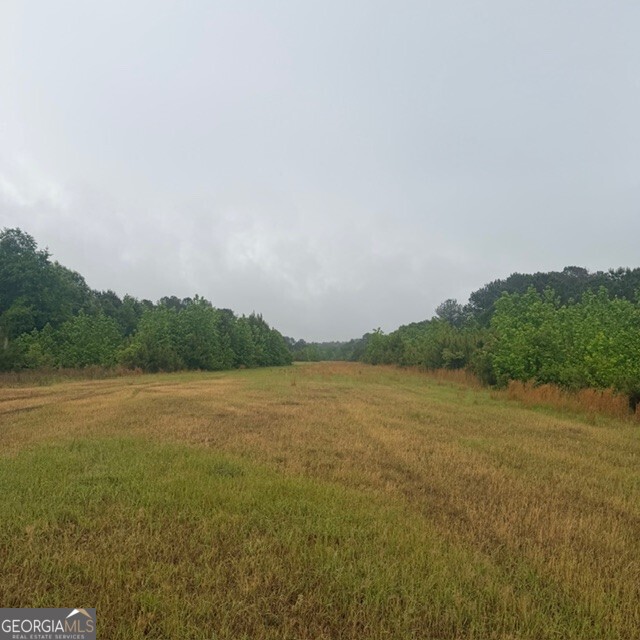 145 +/- Acres George Smith Road Property Photo 1