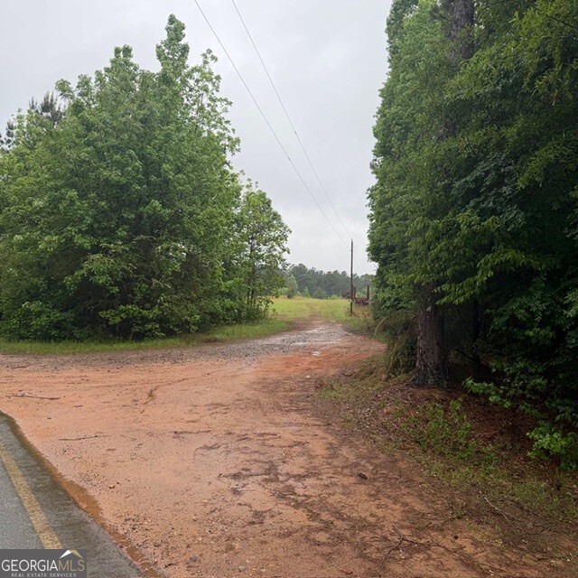 145 +/- Acres George Smith Road Property Photo 3