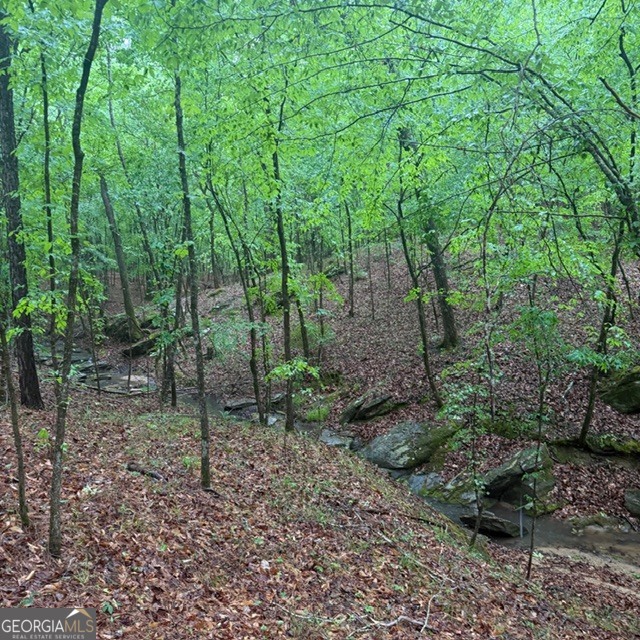 145 +/- Acres George Smith Road Property Photo 4