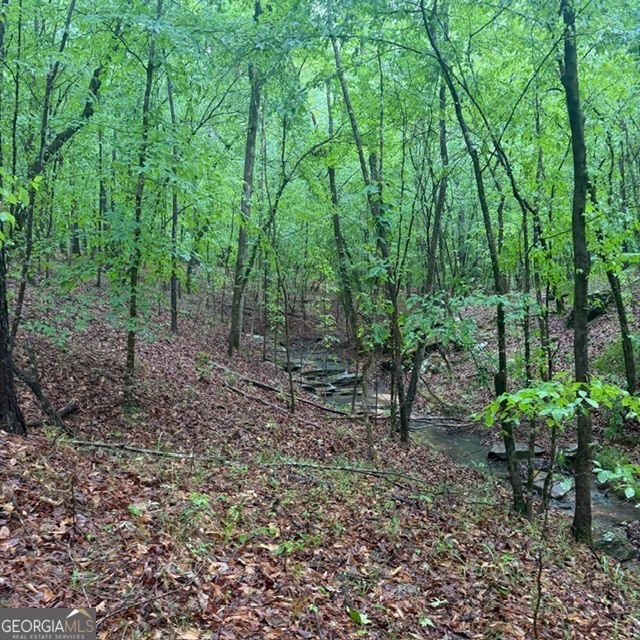 145 +/- Acres George Smith Road Property Photo 5