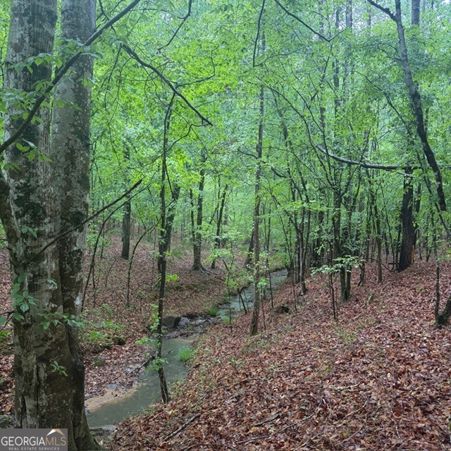 145 +/- Acres George Smith Road Property Photo 6