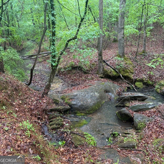 145 +/- Acres George Smith Road Property Photo 7