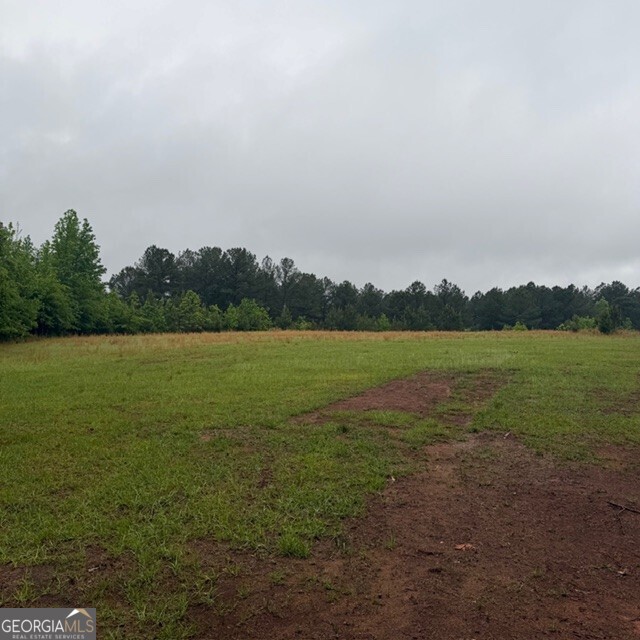 145 +/- Acres George Smith Road Property Photo 8