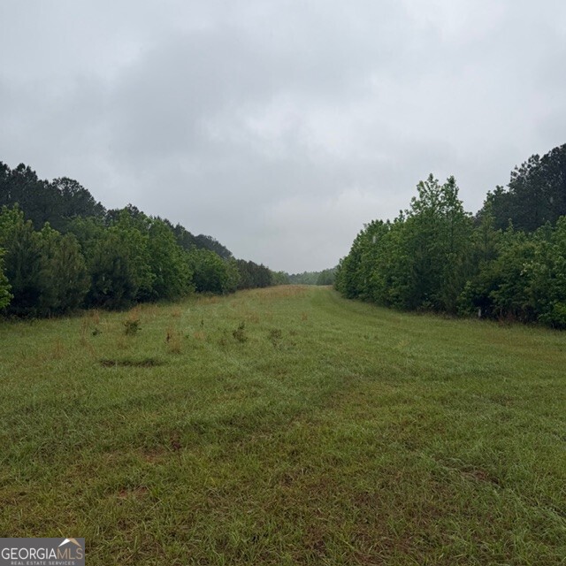 145 +/- Acres George Smith Road Property Photo 9
