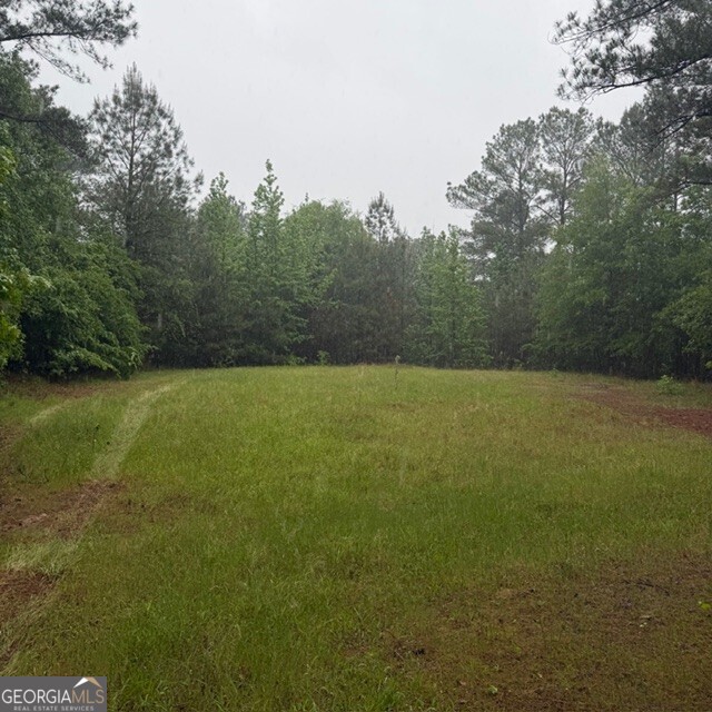 145 +/- Acres George Smith Road Property Photo 10