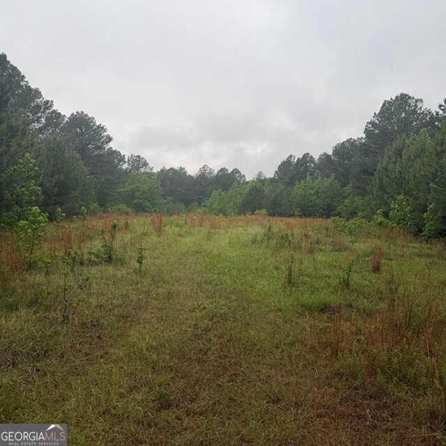 145 +/- Acres George Smith Road Property Photo 11