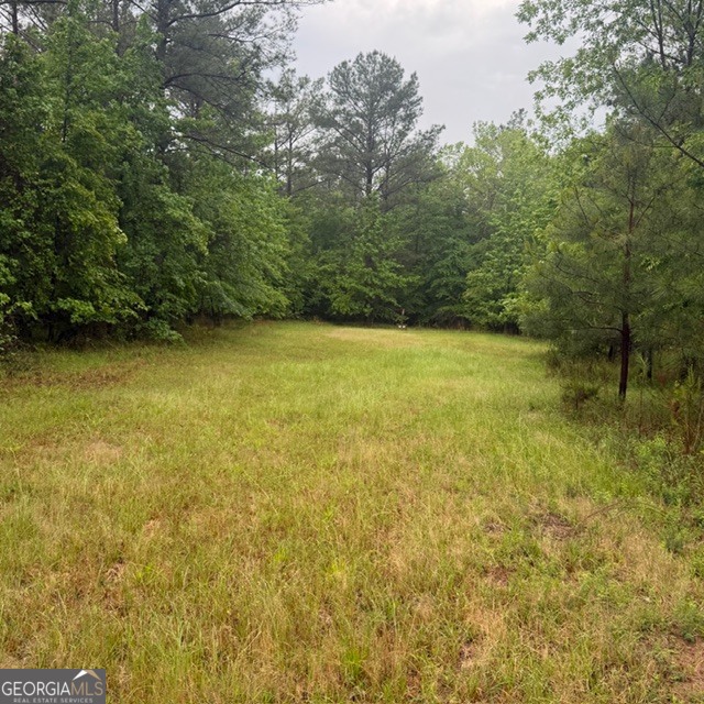 145 +/- Acres George Smith Road Property Photo 12