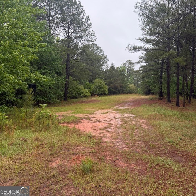 145 +/- Acres George Smith Road Property Photo 13