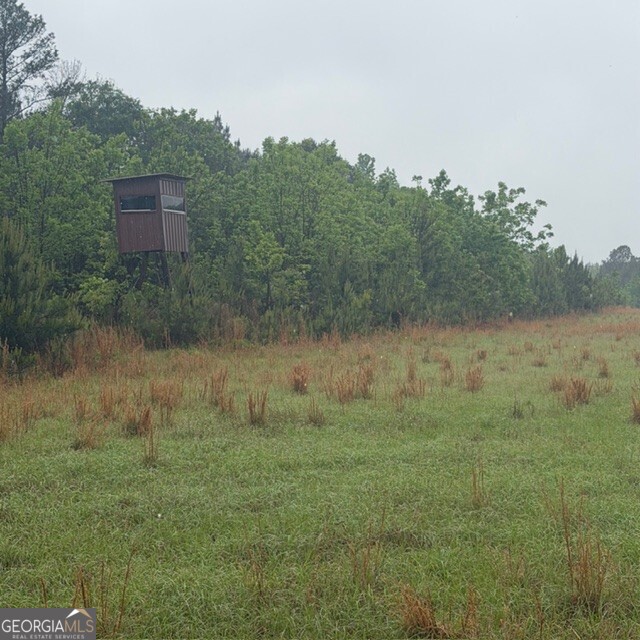 145 +/- Acres George Smith Road Property Photo 14