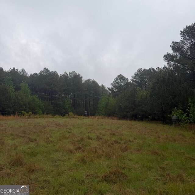 145 +/- Acres George Smith Road Property Photo 15