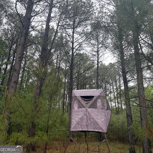 145 +/- Acres George Smith Road Property Photo 16