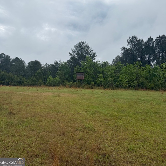 145 +/- Acres George Smith Road Property Photo 17