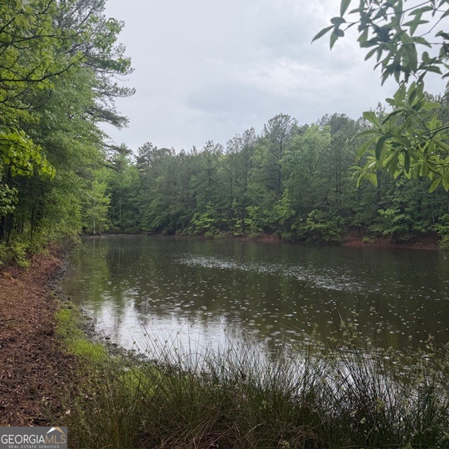 145 +/- Acres George Smith Road Property Photo 18