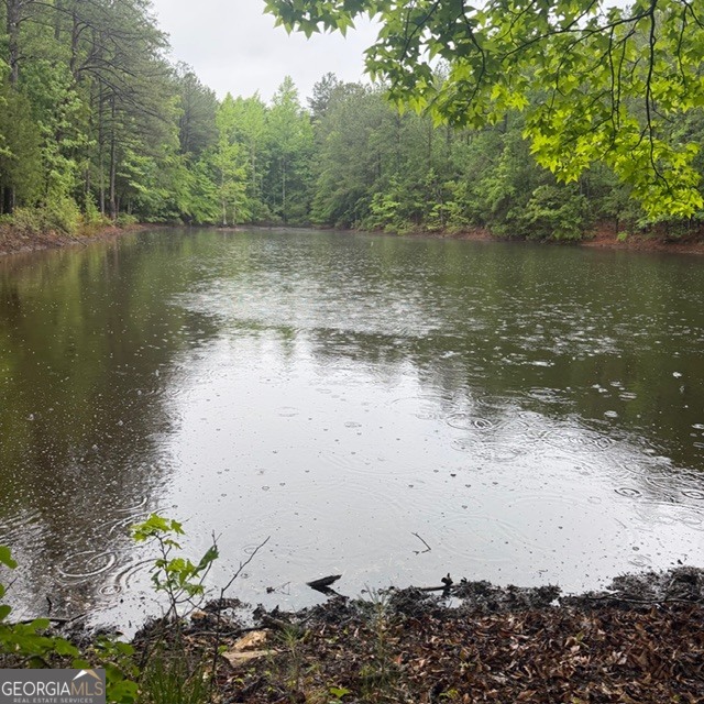 145 +/- Acres George Smith Road Property Photo 19