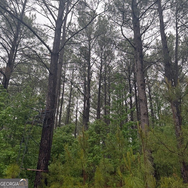 145 +/- Acres George Smith Road Property Photo 21