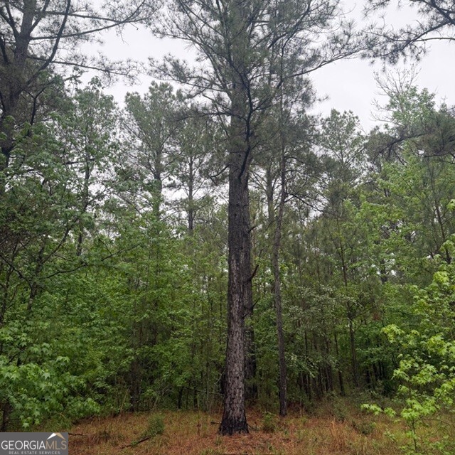 145 +/- Acres George Smith Road Property Photo 22