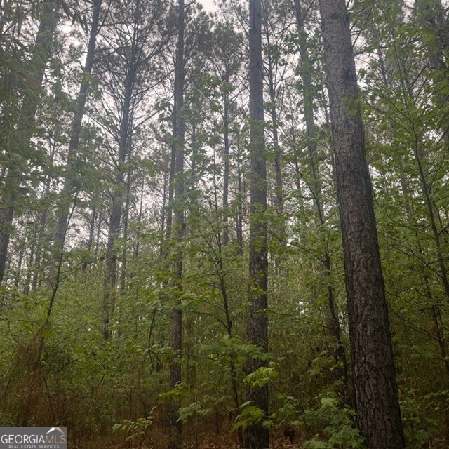 145 +/- Acres George Smith Road Property Photo 23