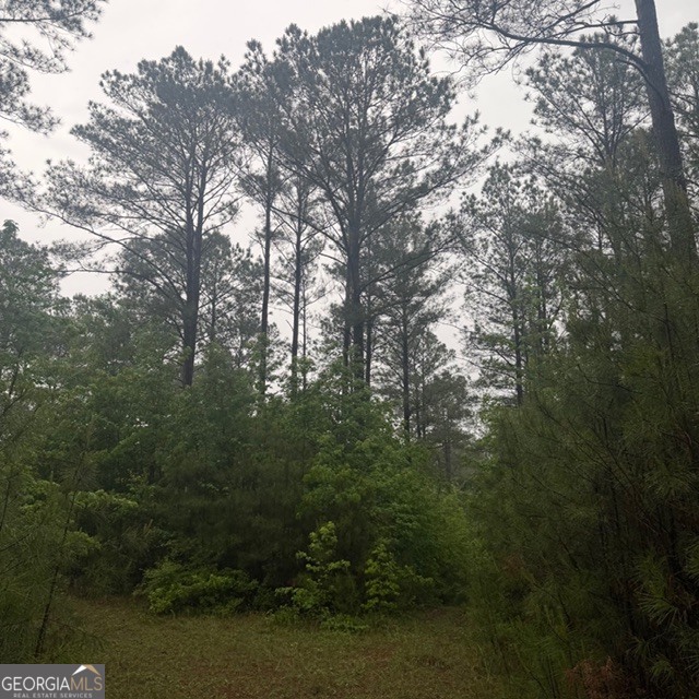 145 +/- Acres George Smith Road Property Photo 24