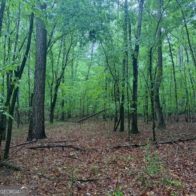 145 +/- Acres George Smith Road Property Photo 25