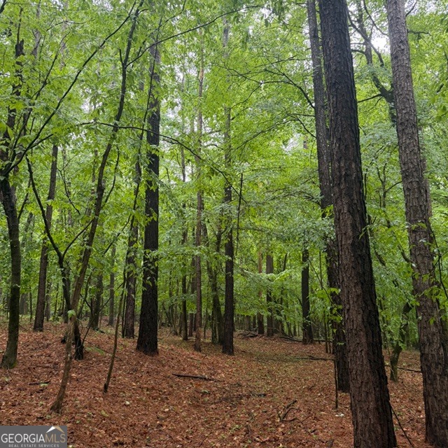 145 +/- Acres George Smith Road Property Photo 26