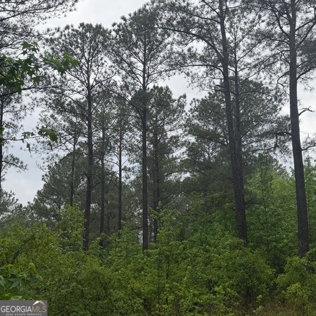145 +/- Acres George Smith Road Property Photo 27