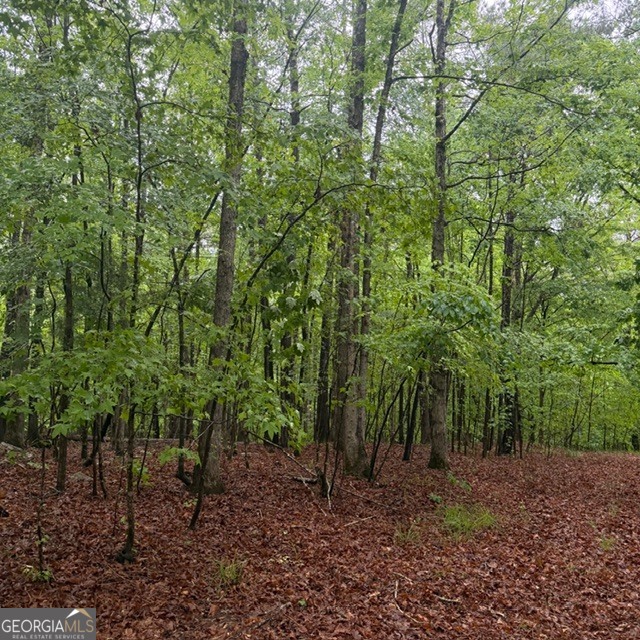 145 +/- Acres George Smith Road Property Photo 28