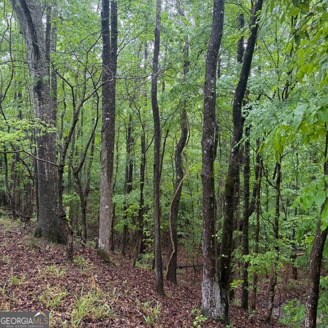 145 +/- Acres George Smith Road Property Photo 29